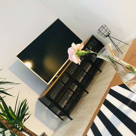 Apartament Akademia Legnica Zewnętrze zdjęcie